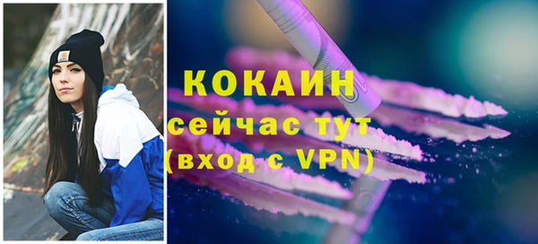 ГАЛЛЮЦИНОГЕННЫЕ ГРИБЫ Карталы
