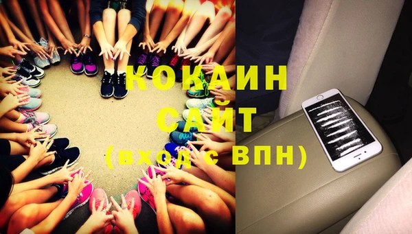 шишки Гвардейск
