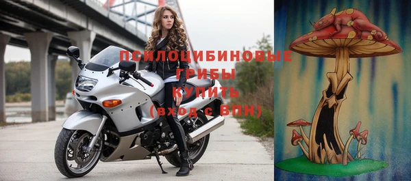 ГАЛЛЮЦИНОГЕННЫЕ ГРИБЫ Карталы
