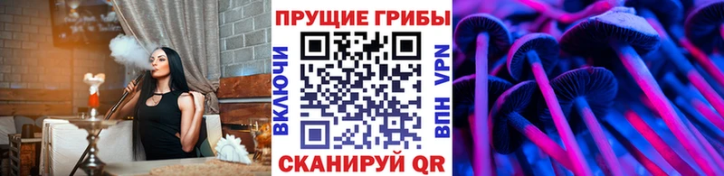 Купить где  Красновишерск  Галлюциногенные грибы GOLDEN TEACHER 
